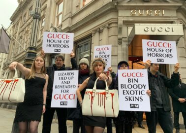 PETA Models Urge Christmas Shoppers Not to Buy Gucci – Here’s Why