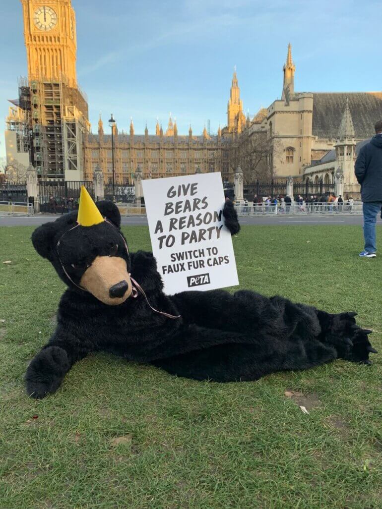 Bear Party