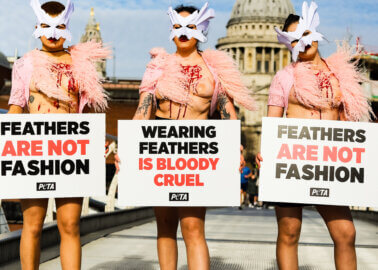 Why are PETA ‘Birds’ at London Fashion Week?