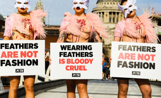london_fashion_week_feathers