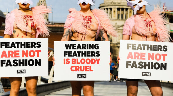 london_fashion_week_feathers