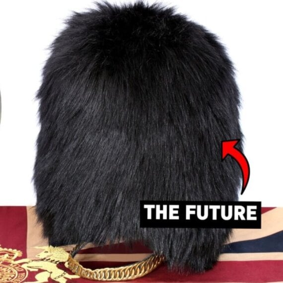 Urge Your MP to Support a Switch to Faux Fur for the Queen’s Guard’s Caps!