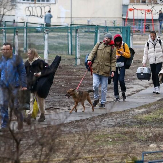 Updates on the Situation for Animals in Ukraine