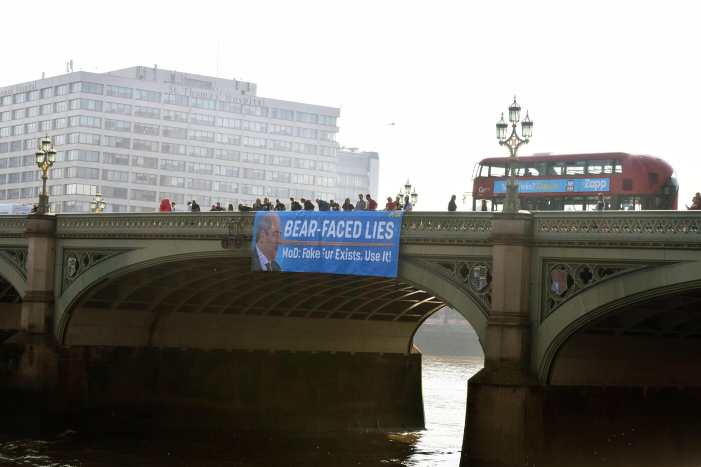 bare faced lies banner 