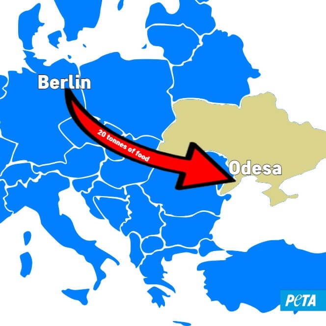Ukraine peta