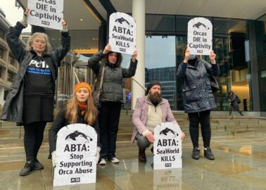 Marine Parks Kill Animals – Why Is ABTA Supporting Them?