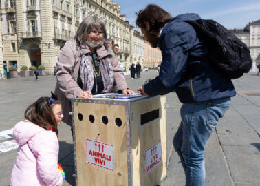 Photos: ‘Crying Monkeys’ Protest Against Tests on Animals