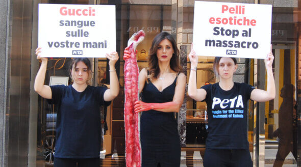 PETA Slams Gucci’s Exotic Skins Accessories in ‘Bloody’ Protest