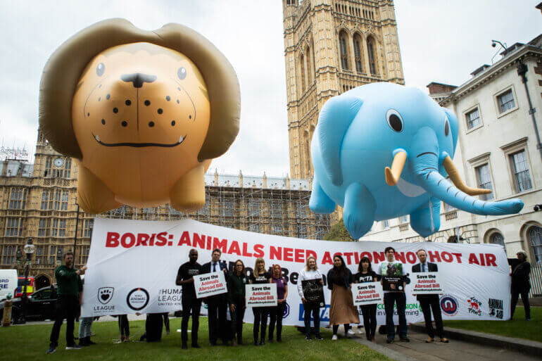 lion and elephant balloons don't betray animals