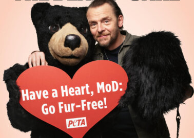 Go Fake for the Bears’ Sake: Simon Pegg Stars in New PETA Campaign