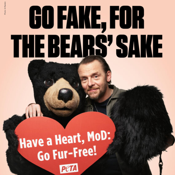 Go Fake for the Bears’ Sake: Simon Pegg Stars in New PETA Campaign