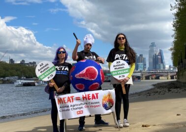 Earth Day Message From PETA – Go Vegan to Take the Earth off the Grill