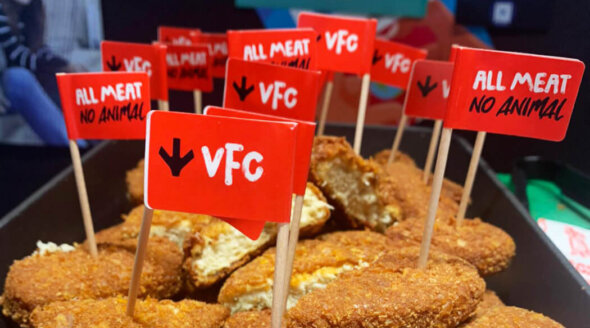 PETA and VFC Give Away Vegan Chicken to Flocks of University of Bristol Students