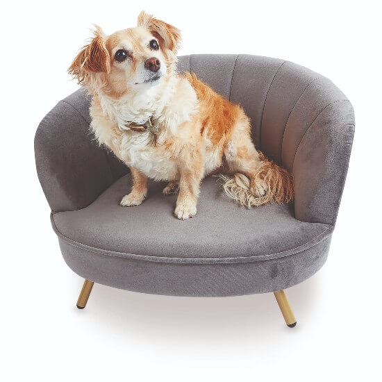 Aldi dog chair