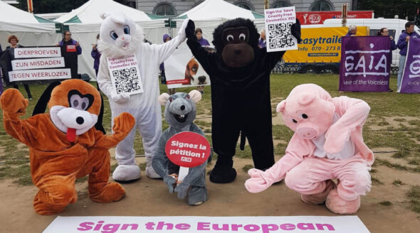 ‘Don’t Kill the Animals’ Blasts as Protesters Dance to Stop Animal Experiments