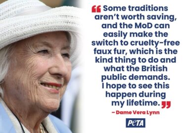 Dame Vera Lynn – ‘The Forces’ Sweetheart’ – Spoke in Favour of Replacing the Army’s Bearskin Caps with Faux Fur. Now, Her Daughter Is Doing the Same