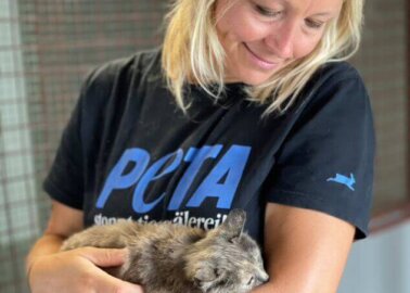 PETA Entities Are in Ukraine, Moving Mountains to get to Animals in Need