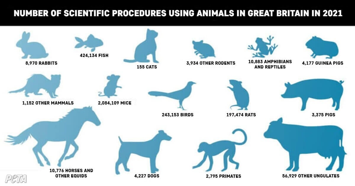 Britain's animal figures deals