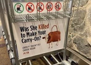 UK Airports Ban PETA’s Anti-Leather Ad