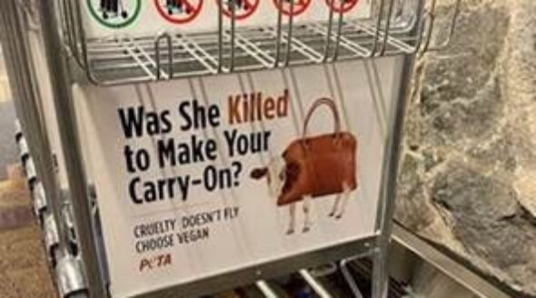 UK Airports Ban PETA’s Anti-Leather Ad