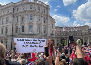 Platinum Jubilee: God Save the Queen (and the Bears), Says PETA