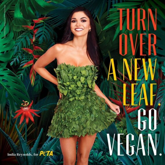 Love Island’s India Reynolds Wears Spinach Dress in New PETA Campaign