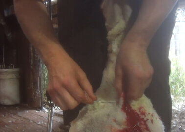 Is Your Wool Jumper Worth This?