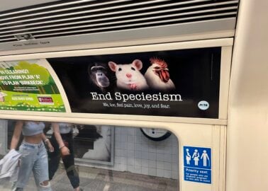 Have You Seen PETA’s New Anti-Speciesism Ads on the London Underground Yet?