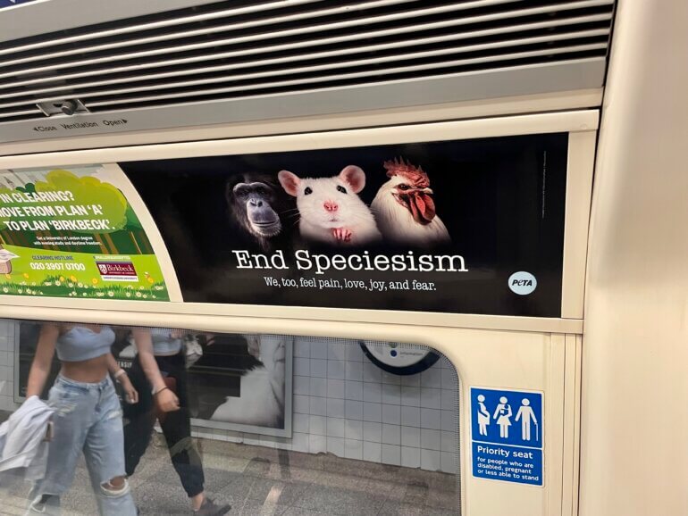 PETA UK End Speciesism Tube Campaigs Ads 2022