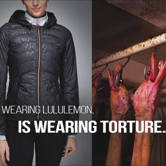 Urge lululemon to Ditch Down