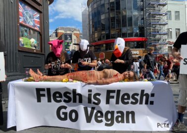 World Day for the End of Speciesism: PETA ‘Animals’ Feast on ‘Human Flesh’