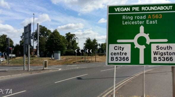 Leicester, Your Destination Is Vegan Pie Roundabout