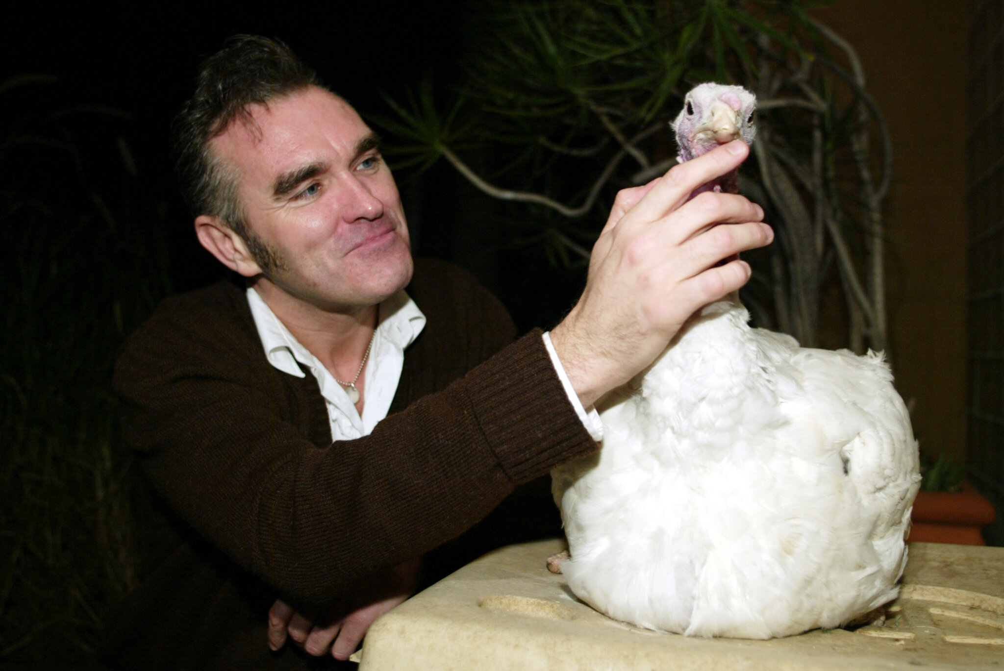 Morrissey Joins PETA Campaign Against Hare Coursing