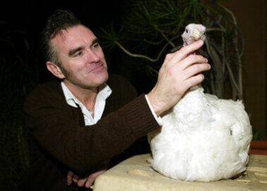 Morrissey Joins PETA Campaign Against Hare Coursing
