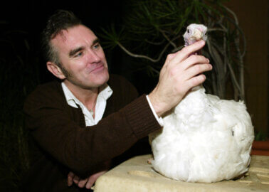 Morrissey Joins PETA Campaign Against Hare Coursing