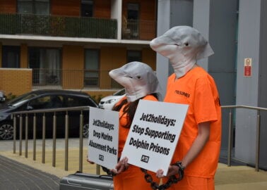 Chained ‘Dolphins’ Protest Watery Prisons at Jet2holidays’ Leeds Office