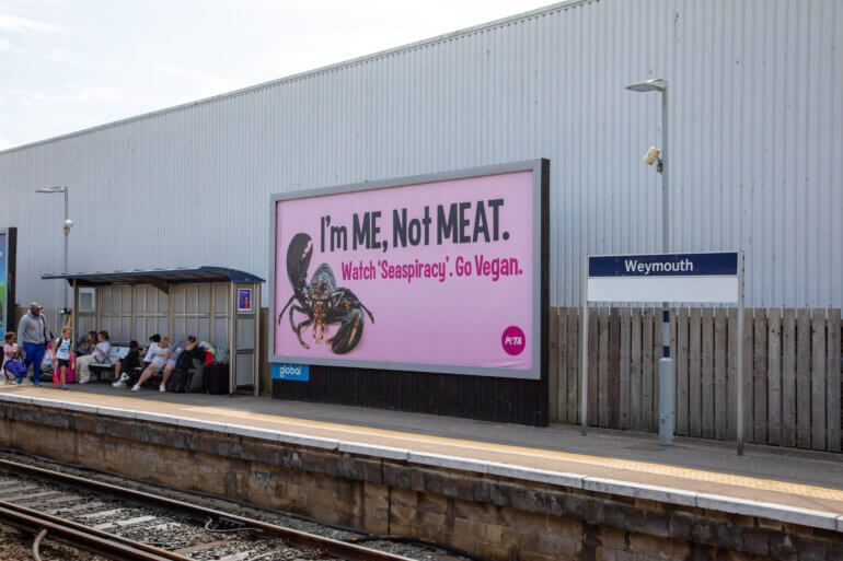 Weymouth PETA Lobster Ads