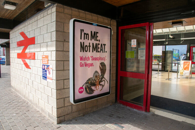 Weymouth PETA lobster ads1