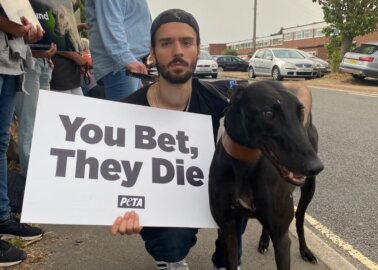 Protesters Gather at Oxford Stadium’s Greyhound Racing Opening Night