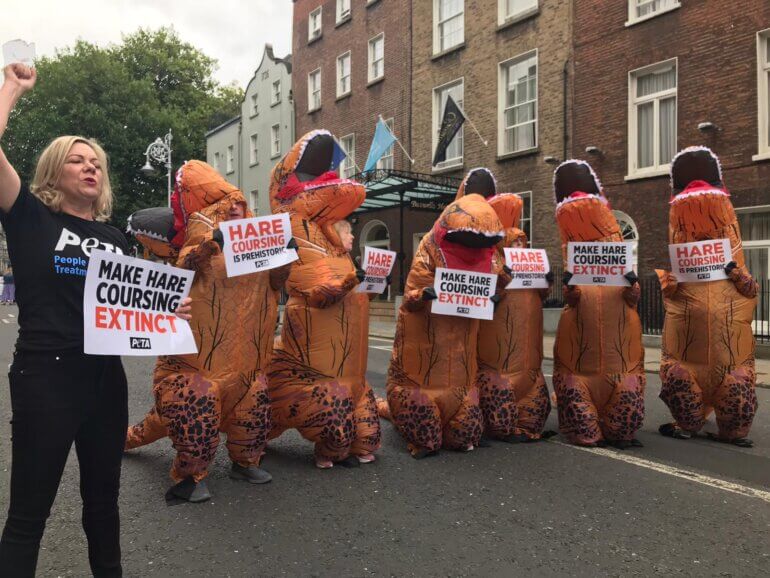 dinosaur ireland hare coursing 2