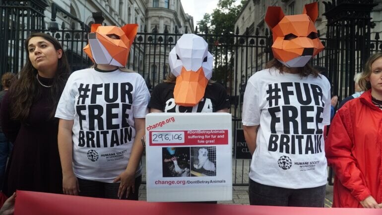 masks_downingstreet_dontbetrayanimals_demo_hsi