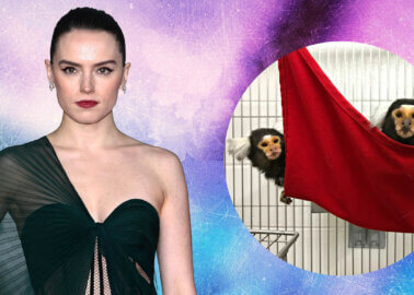 Actor Daisy Ridley Urges UMass to End Deadly Marmoset Experiments