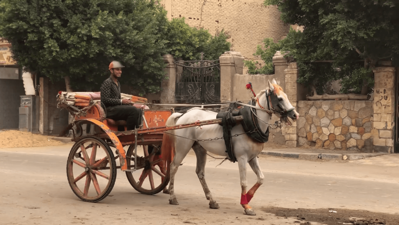 Horses pulling a carriage