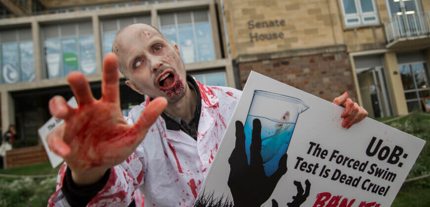 Zombie Demo Photo 2 PETA Bristol Experiments Halloween 2022 PETA’s Protesters Urge University of Bristol to Ban Near-Drowning Test