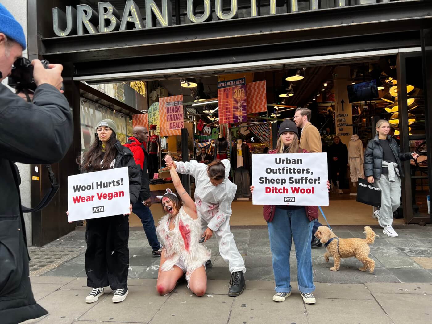Why PETA 'Sheep' Was 'Sheared' Near Urban Outfitters Store