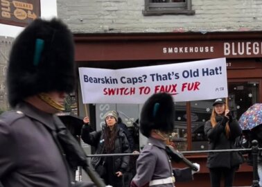 PETA Crashes Windsor’s Changing of the Guard Over Bearskin Caps
