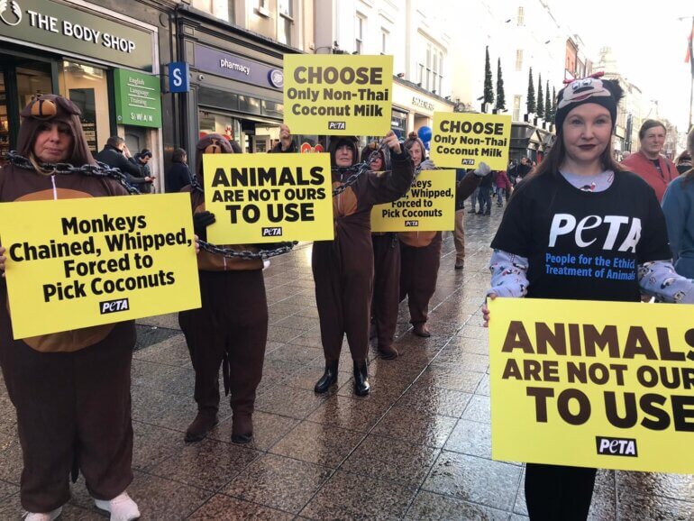 coconut monkey dublin protest peta 6
