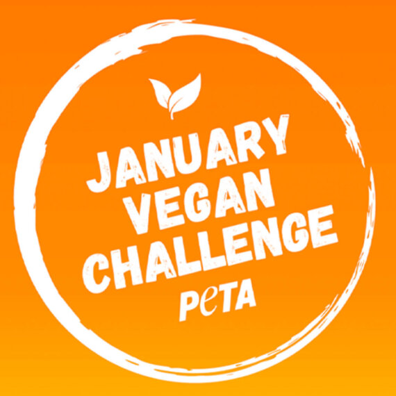 Take PETA’s January Vegan Challenge