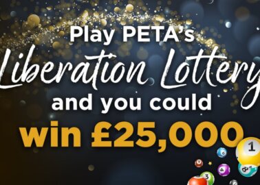 PETA’s Liberation Lottery Launches!