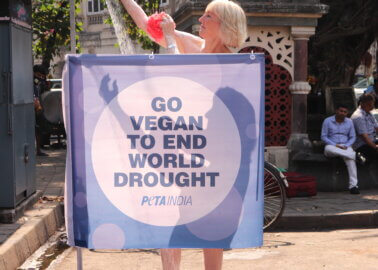 PETA Founder’s Public Shower Highlights Meat’s Devastating Role in Drought